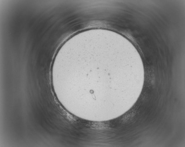 X0000052930807200507292350