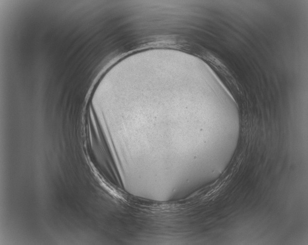 X0000052930808200507292350