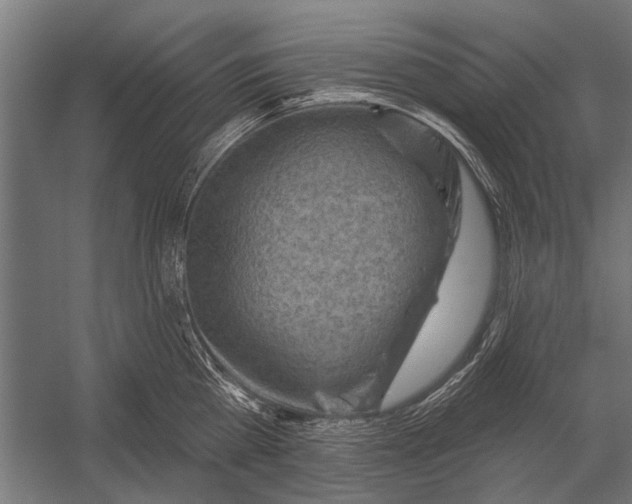 X0000052930809200507292350