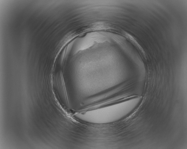 X0000052930810200507292350