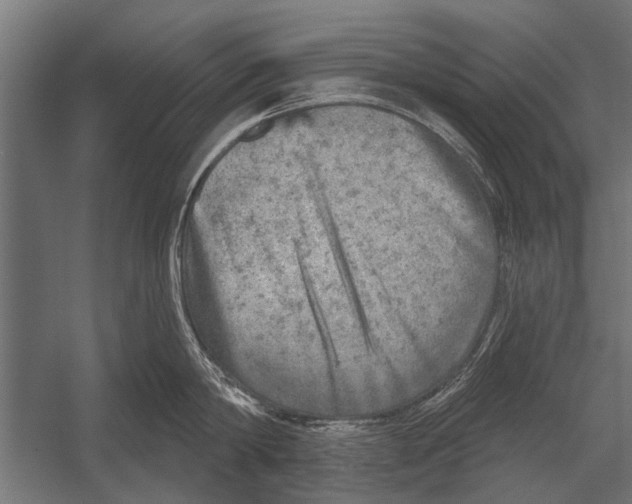 X0000052930814200507292350