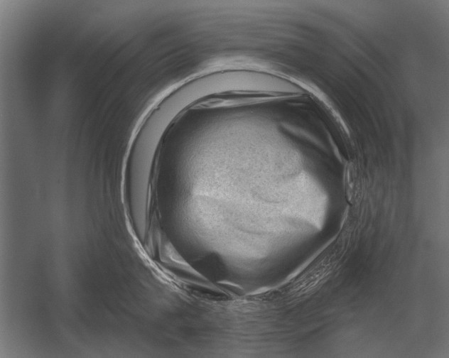 X0000052930815200507292350