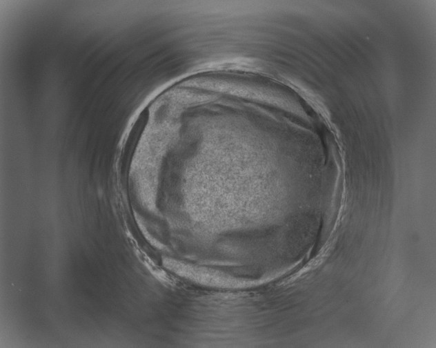 X0000052930816200507292350