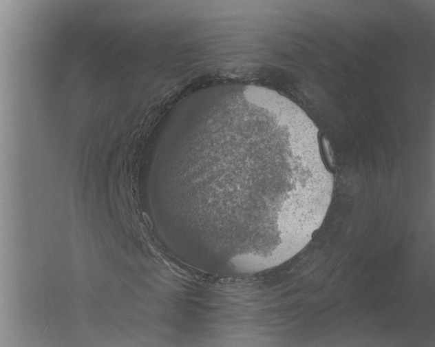 X0000052930817200507292349