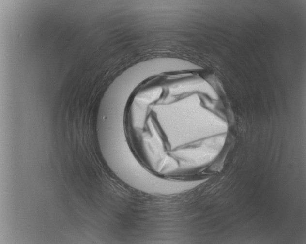 X0000052930818200507292350