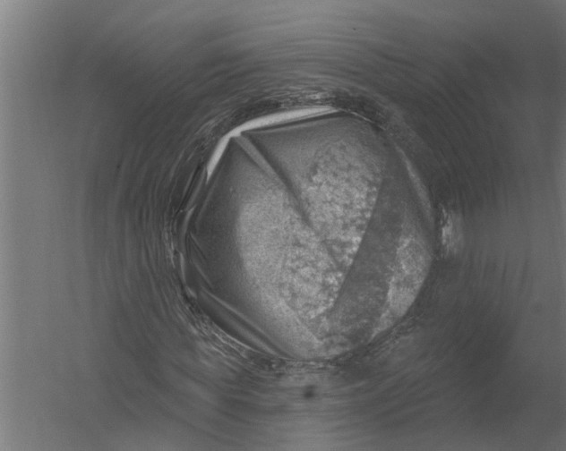 X0000052930819200507292350