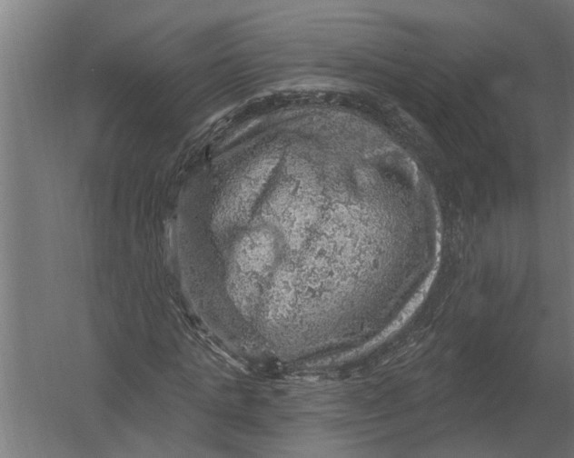 X0000052930821200507292350