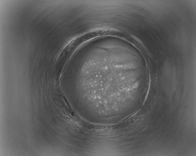 X0000052930823200507292350