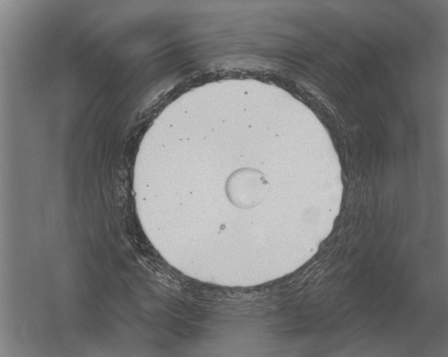 X0000052930824200507292350