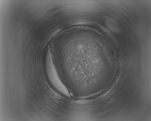 X0000052930825200507292350