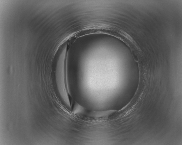 X0000052930826200507292350