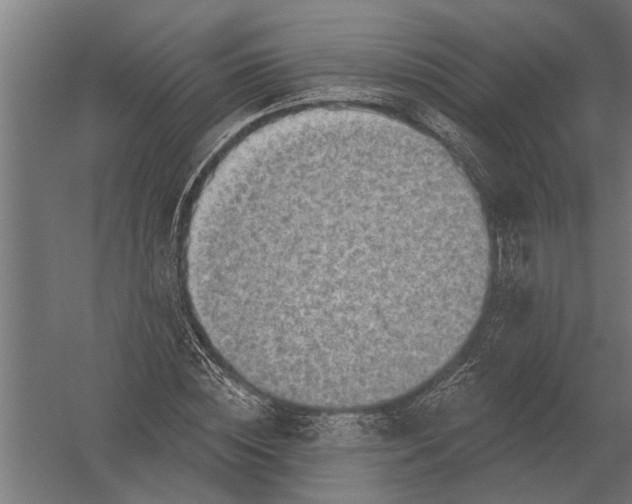 X0000052930828200507292350