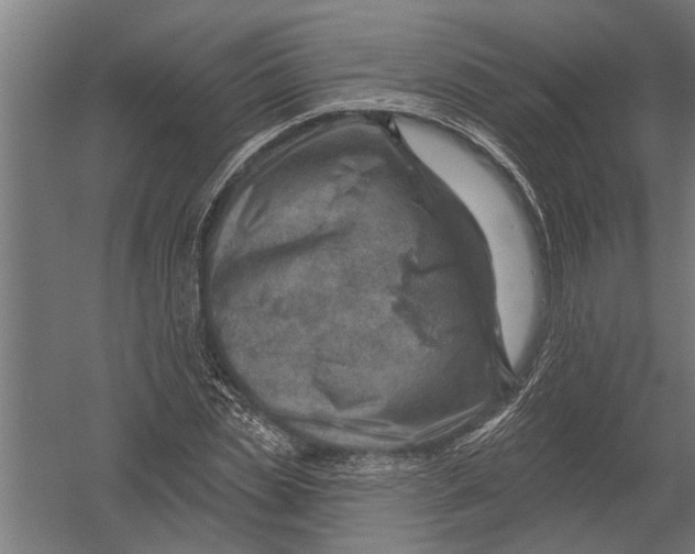 X0000052930829200507292350