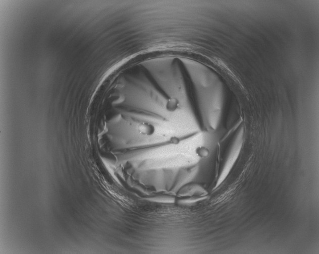 X0000052930830200507292350