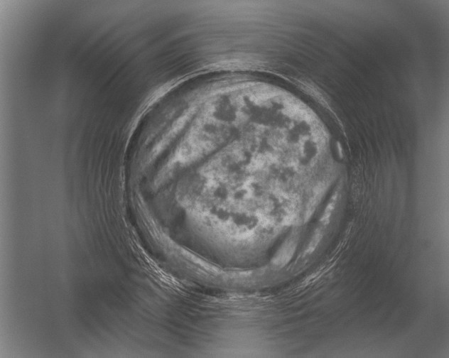 X0000052930831200507292350