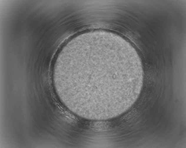 X0000052930832200507292350