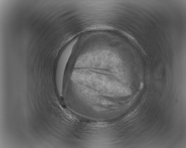 X0000052930833200507292350