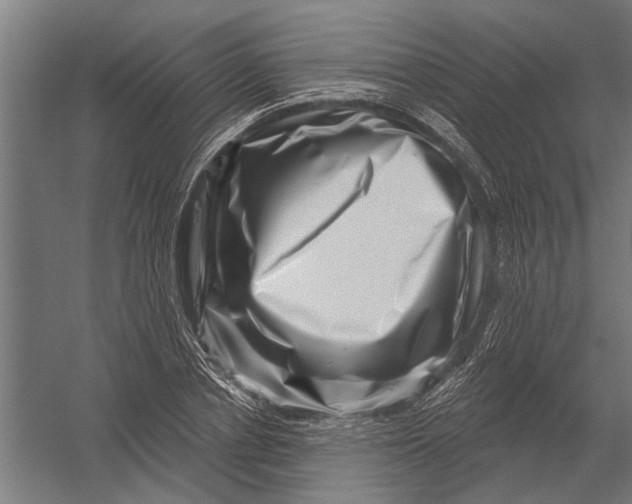 X0000052930834200507292350