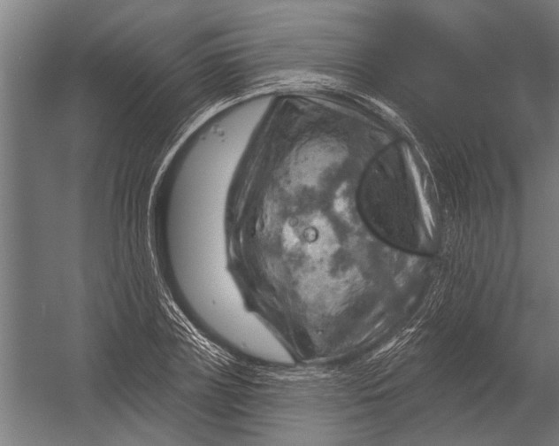 X0000052930835200507292350