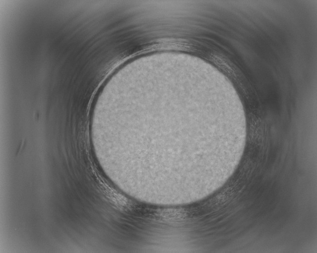 X0000052930836200507292350