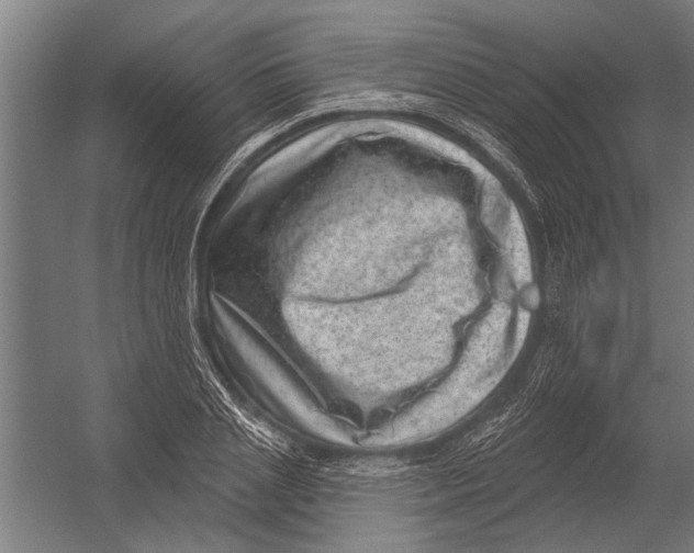 X0000052930837200507292350