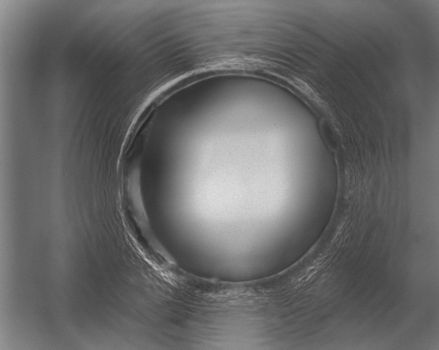 X0000052930838200507292350