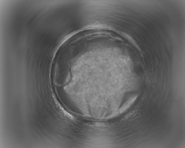 X0000052930839200507292350