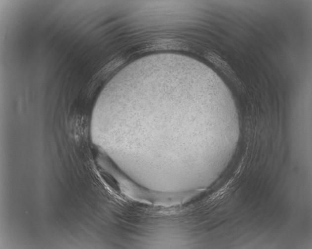 X0000052930841200507292350