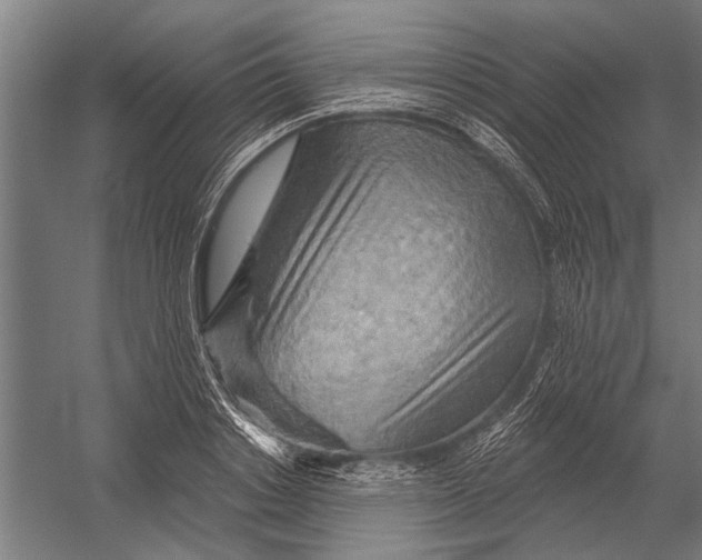 X0000052930842200507292350