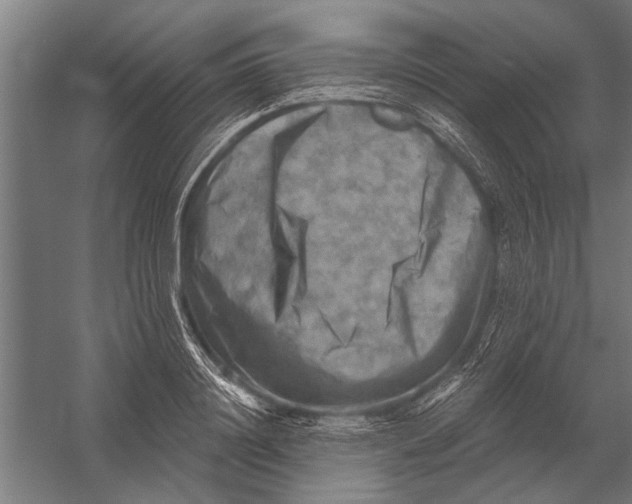 X0000052930844200507292350