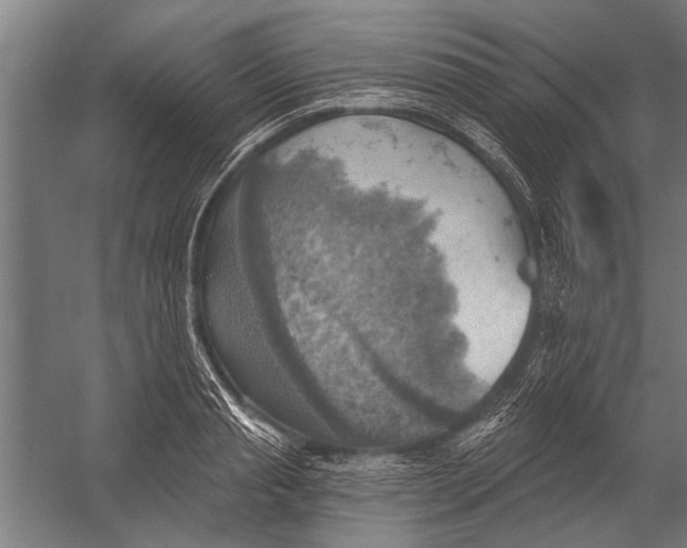 X0000052930845200507292350