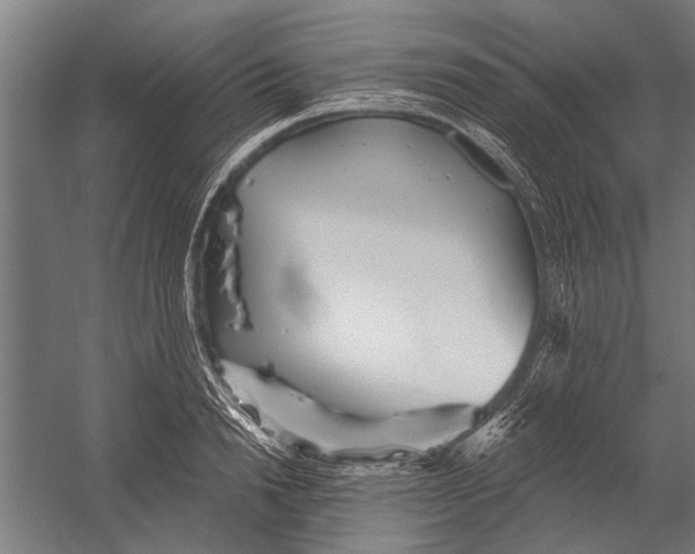 X0000052930846200507292350