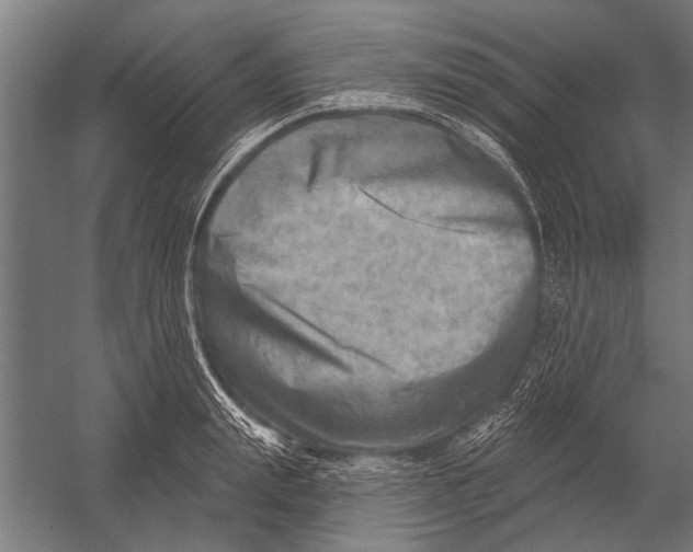 X0000052930847200507292350