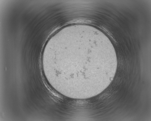 X0000052930848200507292350