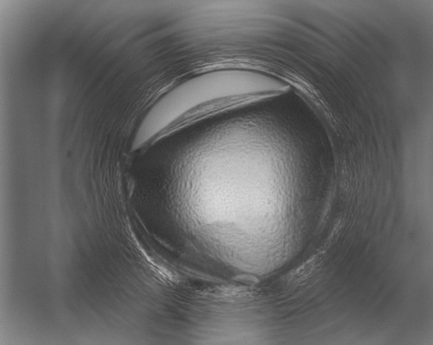 X0000052930849200507292350