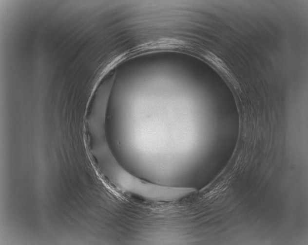 X0000052930850200507292350