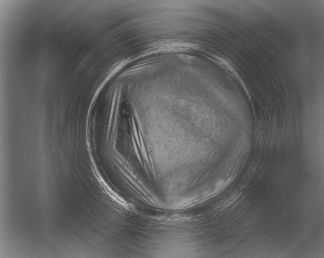 X0000052930851200507292350