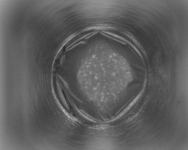 X0000052930853200507292350