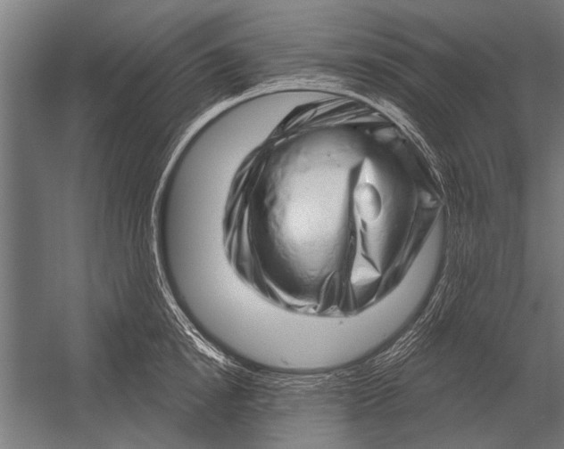 X0000052930854200507292350