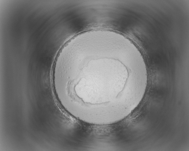 X0000052930856200507292350