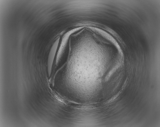 X0000052930857200507292350