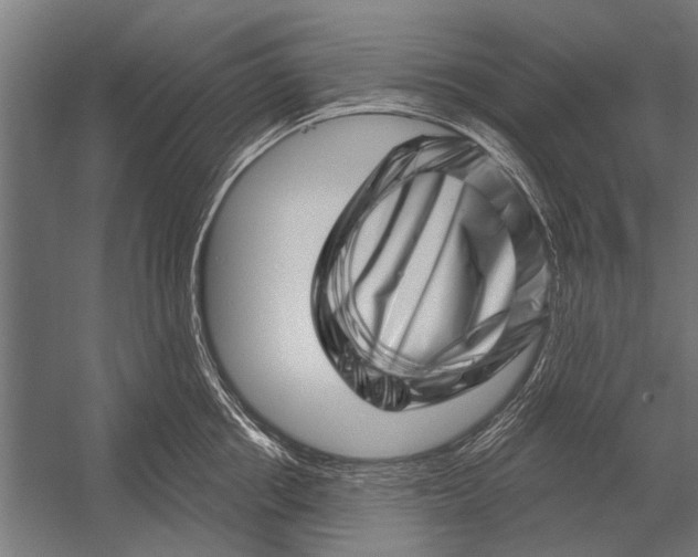 X0000052930858200507292350