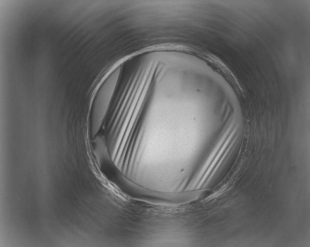 X0000052930860200507292350