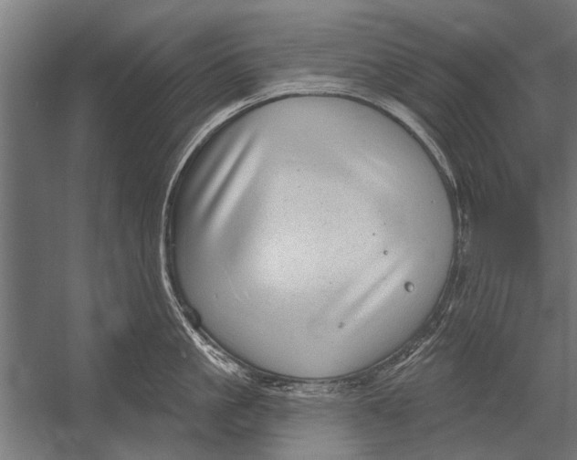 X0000052930861200507292350