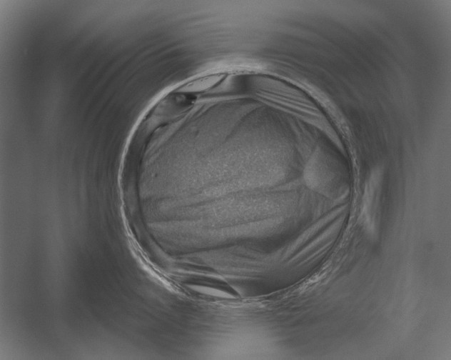 X0000052930864200507292350