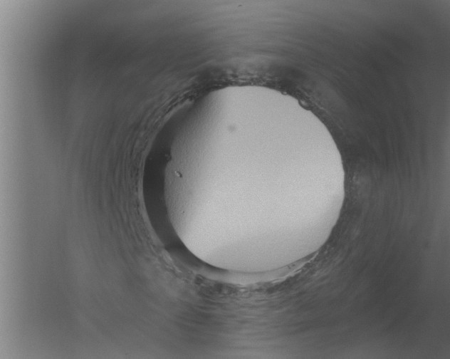 X0000052930865200507292349