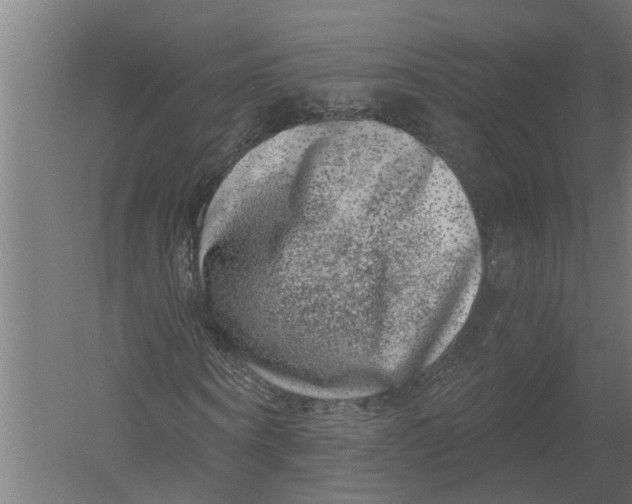 X0000052930866200507292349