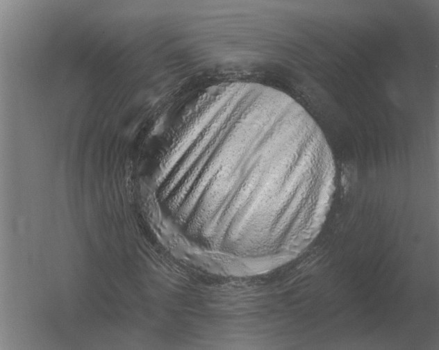 X0000052930867200507292349