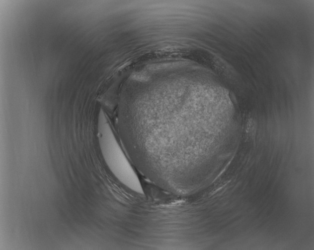 X0000052930868200507292349