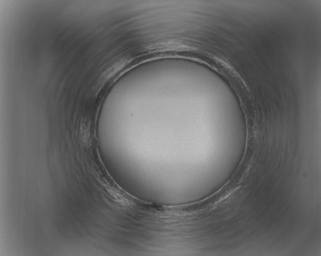 X0000052930873200507292349